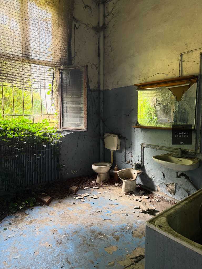 Interno di un bagno abbandonato con finestre rotte, piante che crescono attraverso le crepe e pavimento coperto di detriti.